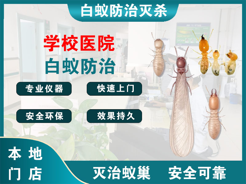 桐庐县学校医院白蚁防治