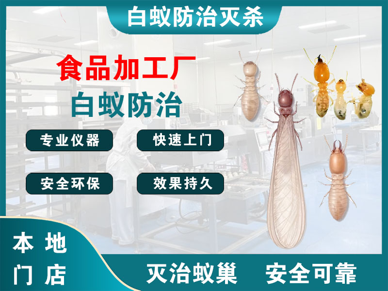 桐庐县食品加工厂白蚁防治