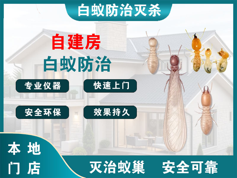桐庐县自建房白蚁防治