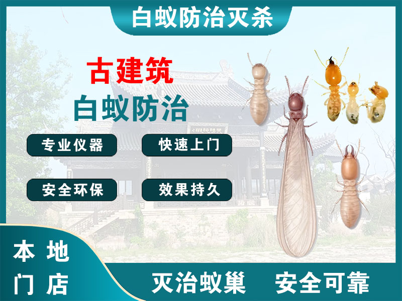 桐庐县古建筑白蚁防治