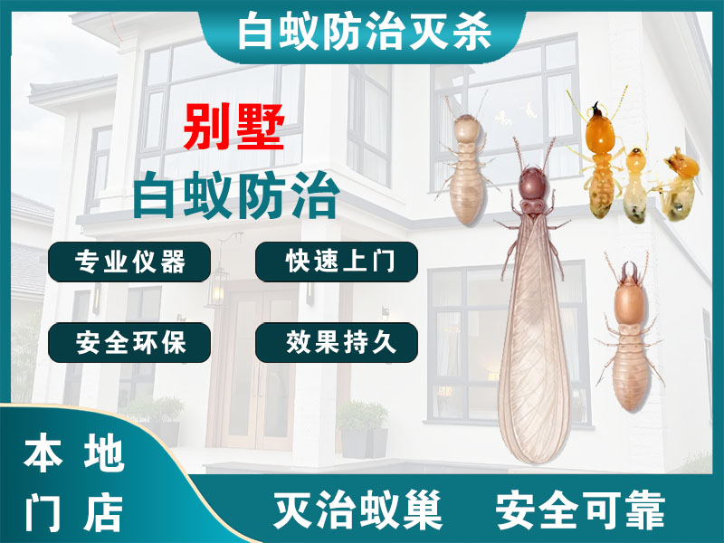 桐庐县别墅白蚁防治
